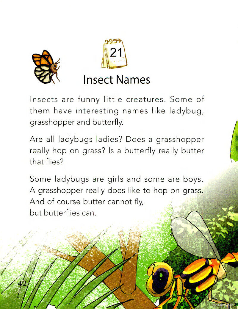 Insect Names绘本故事第2页