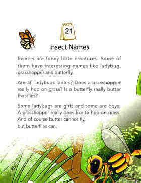 Insect Names绘本故事第2页