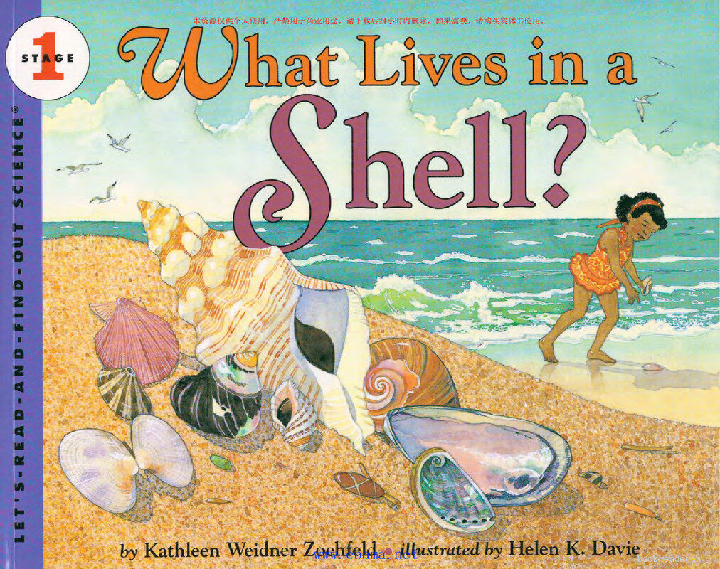 What Lives in a Shell绘本故事第2页