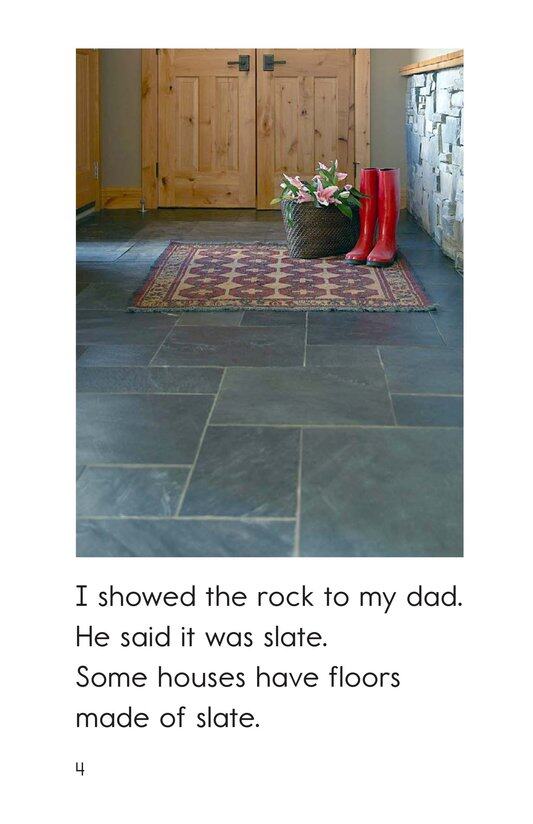 Rock Hunting绘本故事第4页