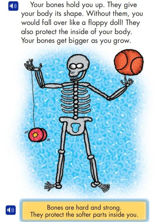 Your Amazing Body!绘本故事第4页