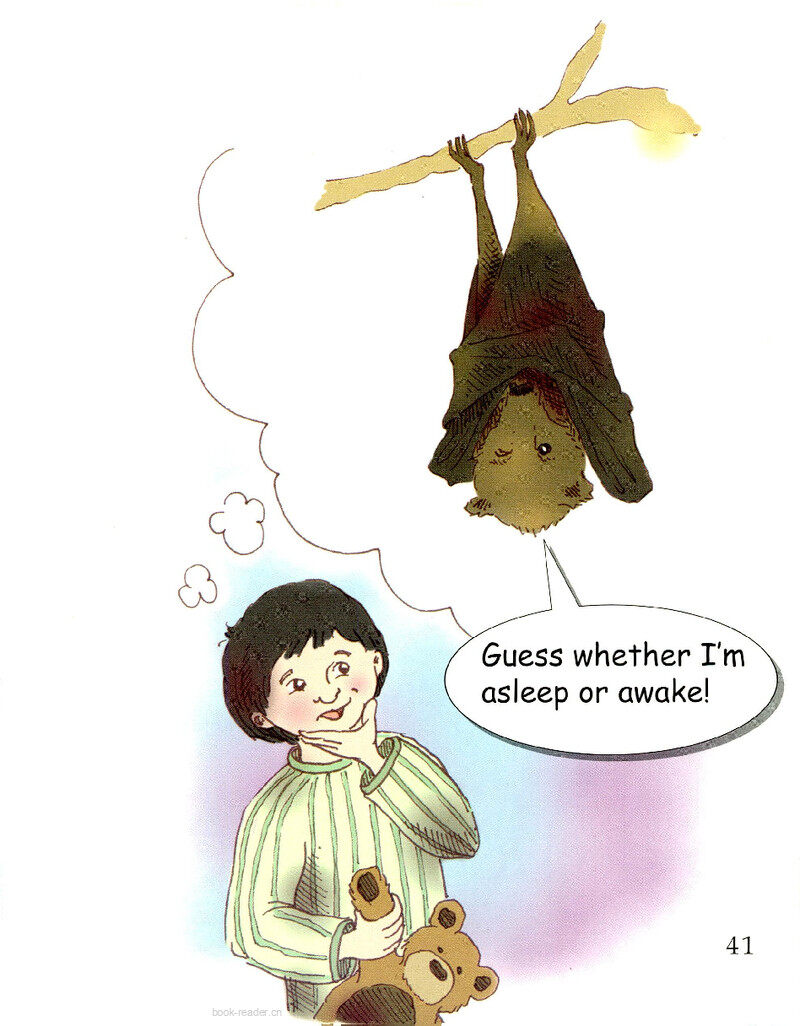 One Eye Open绘本故事第3页