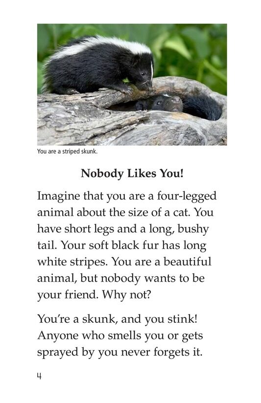 You Stink!绘本故事第3页