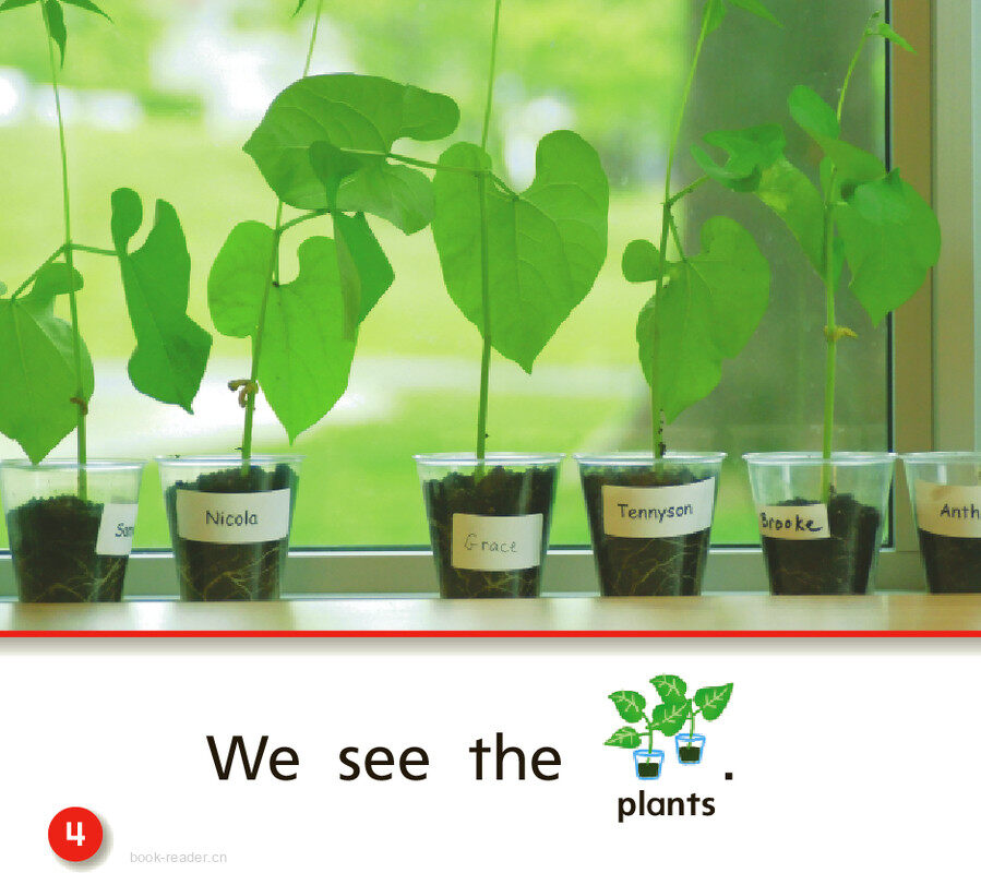 GK On U01W3 At School绘本故事第5页