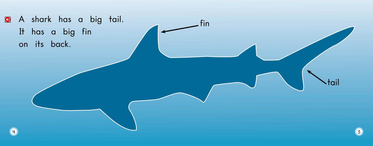 All About Sharks绘本故事第4页