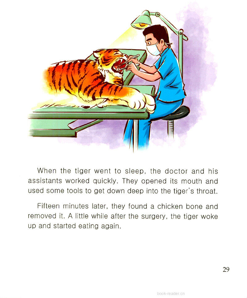 Touching the Tiger(II)绘本故事第3页