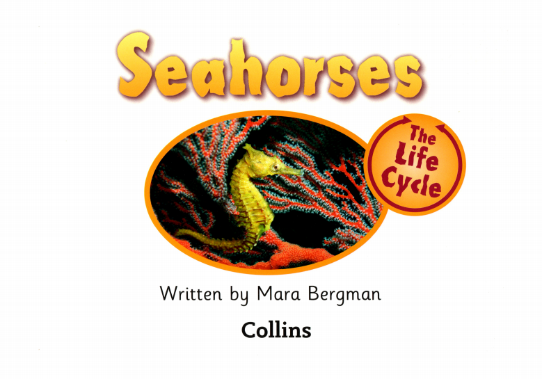 Seahourses绘本故事第2页