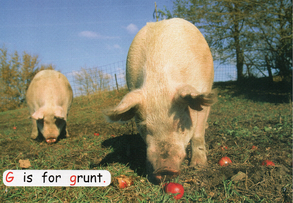 noisy animals绘本故事第5页