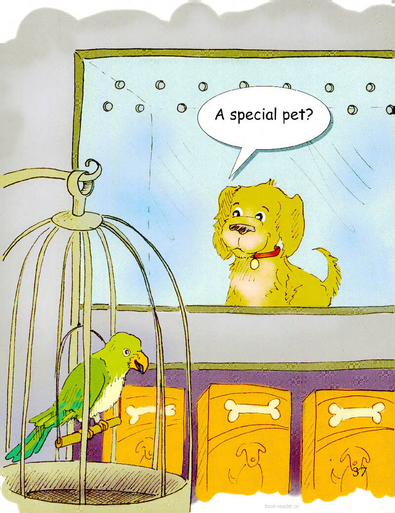 Coco the Bird-1绘本故事第3页