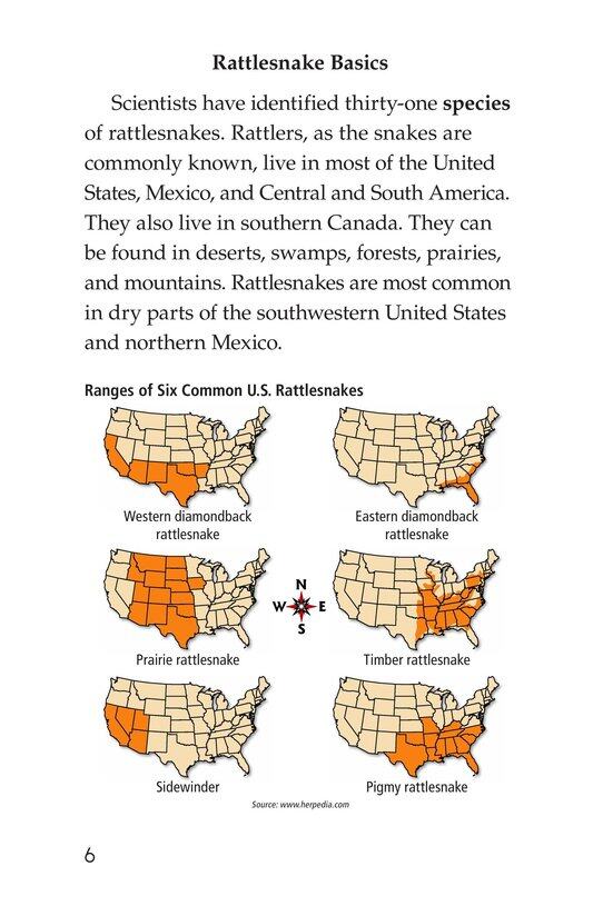 Snakebite!绘本故事第5页