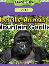 Mountain Gorilla