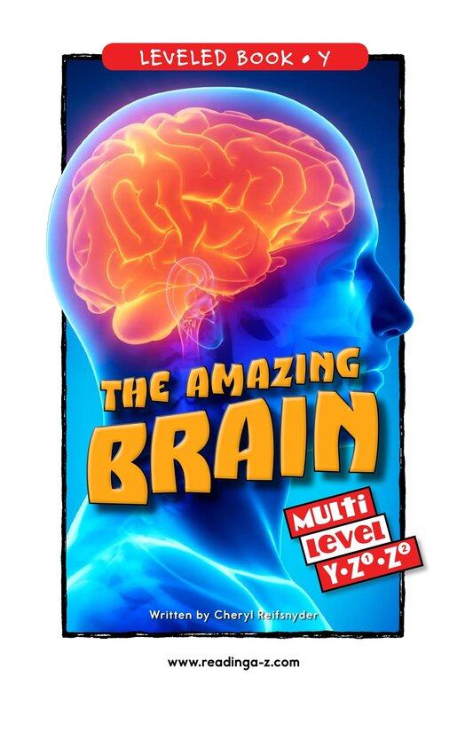 The Amazing Brain绘本故事第2页