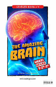 The Amazing Brain绘本故事第2页