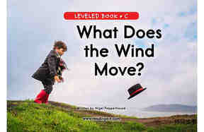 What Does the Wind Move