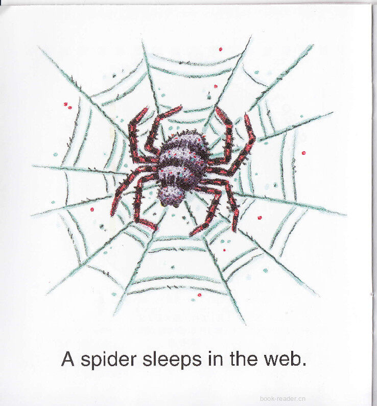 Sleeping Animals绘本故事第3页