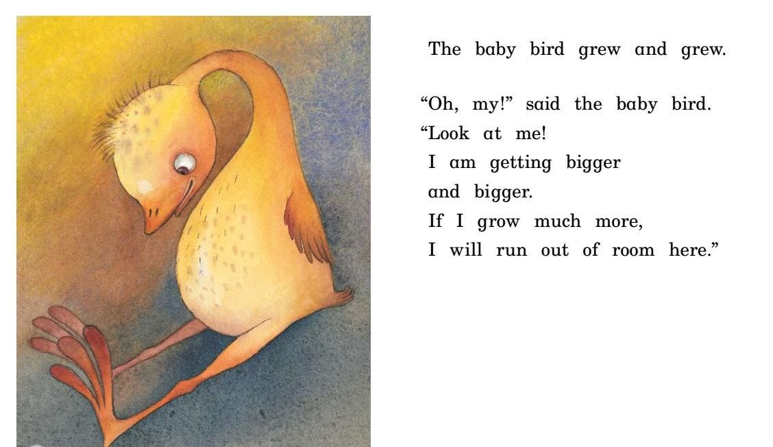Baby Bird绘本故事第5页