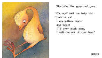 Baby Bird绘本故事第5页