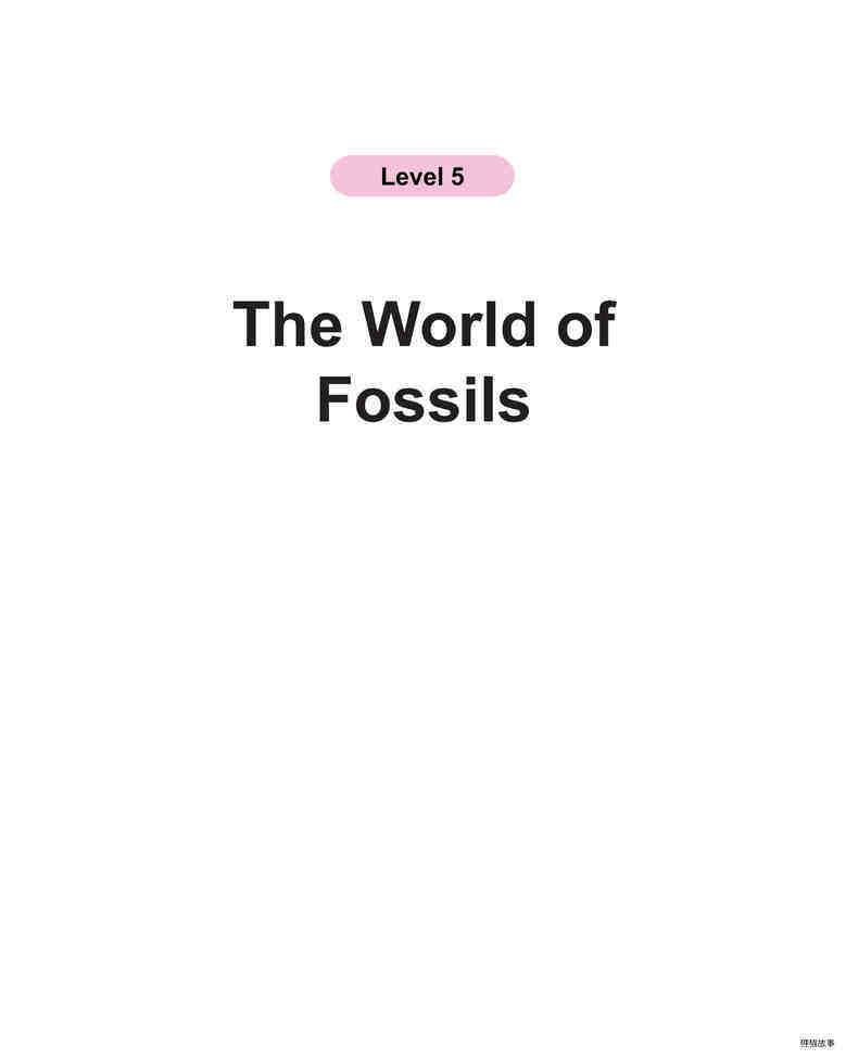 The World of Fossils