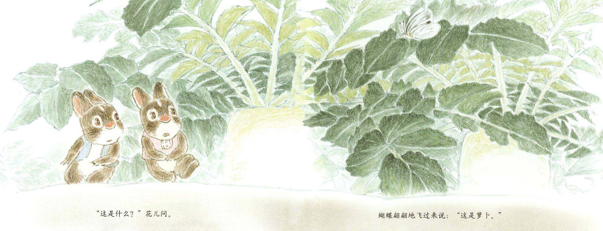 风儿花儿和鸡妈妈绘本故事第4页