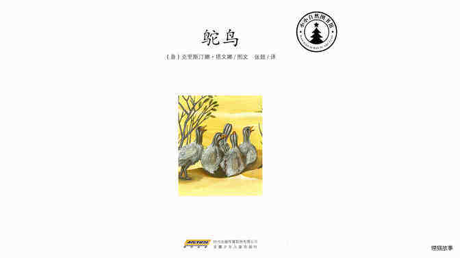 鸵鸟绘本故事第2页