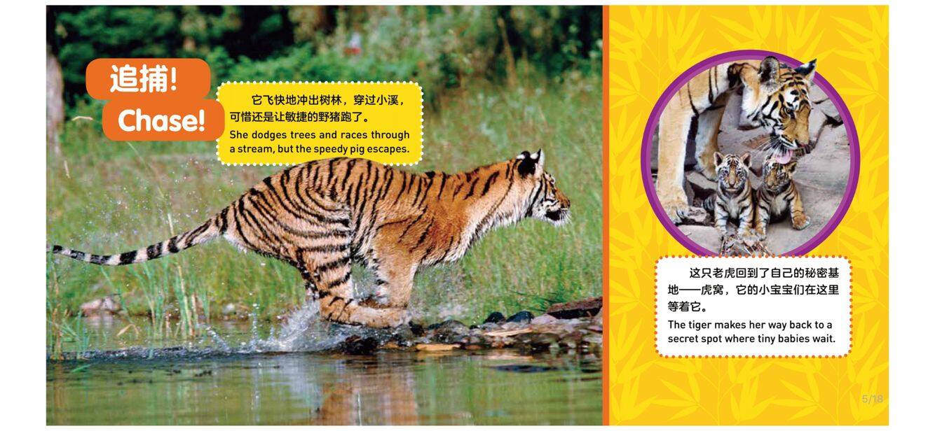 老虎绘本故事第5页