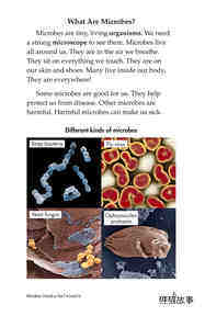 Microbes Friend or Foe绘本故事第4页