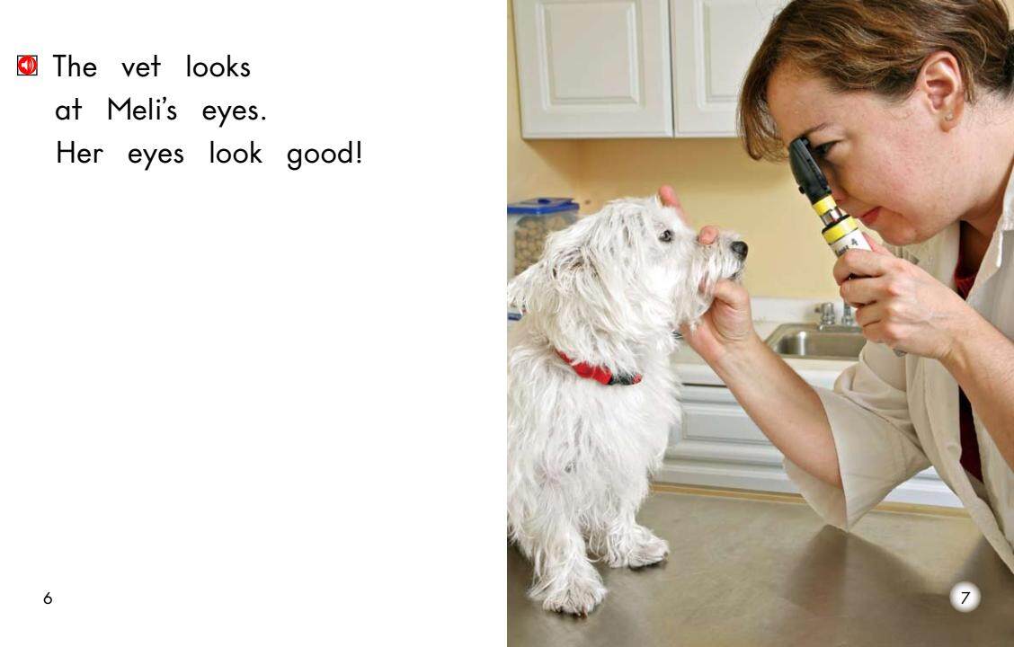 Meli at the vet绘本故事第5页