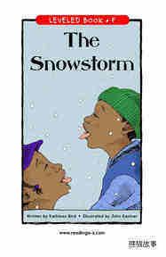 The Snowstorm