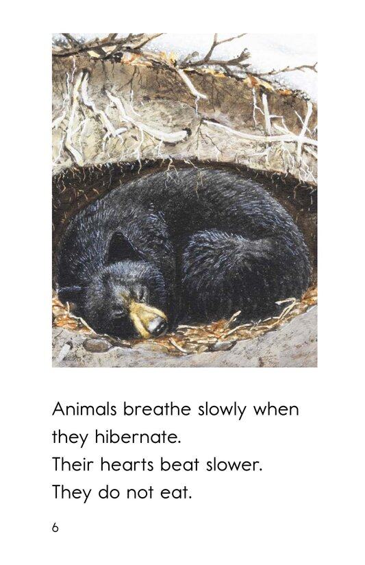 Hibernation绘本故事第5页