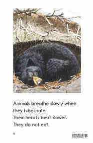 Hibernation绘本故事第5页