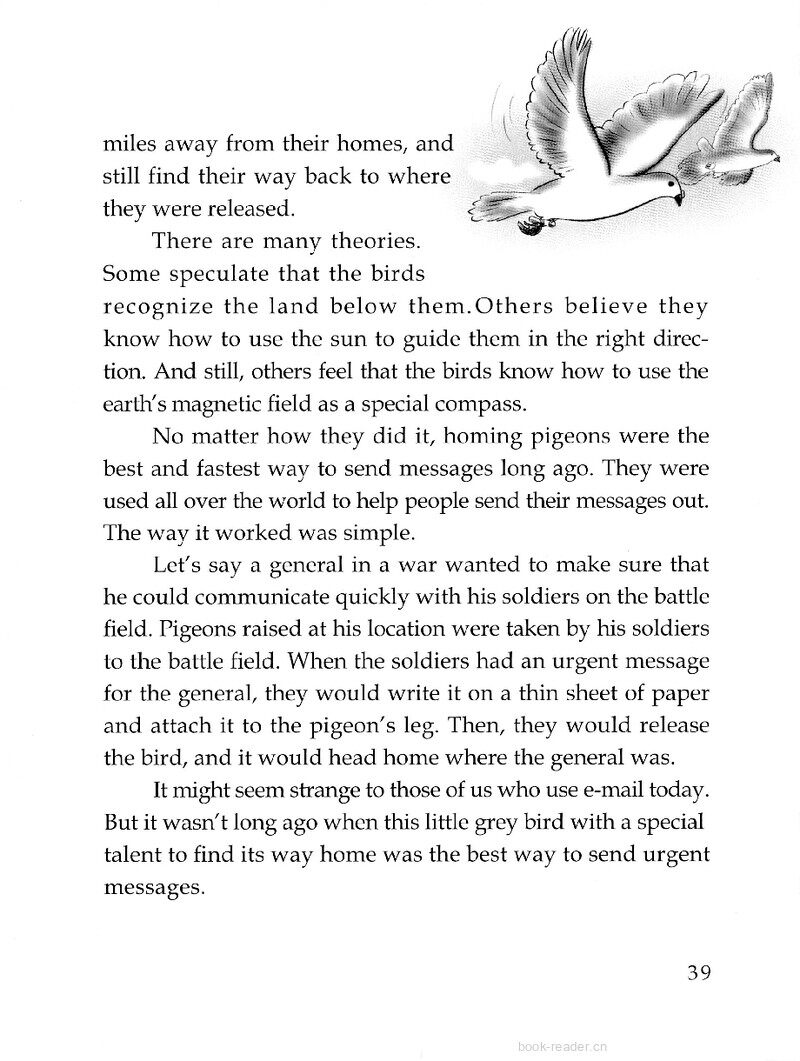 Homing Pigeons Deliver绘本故事第3页