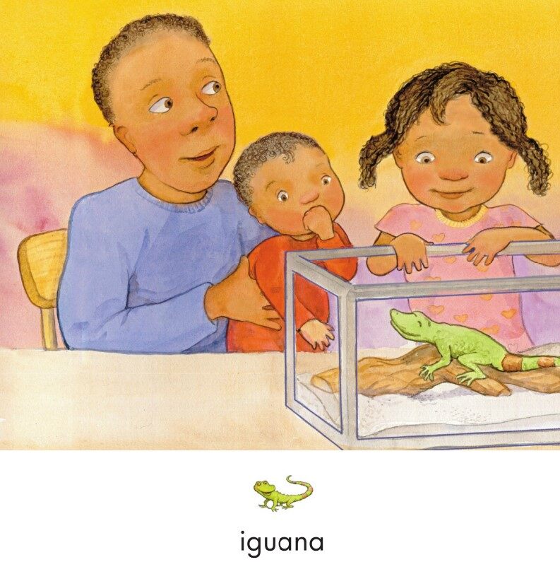 The Iguan绘本故事第3页