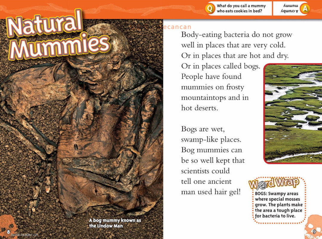 Mummies绘本故事第5页