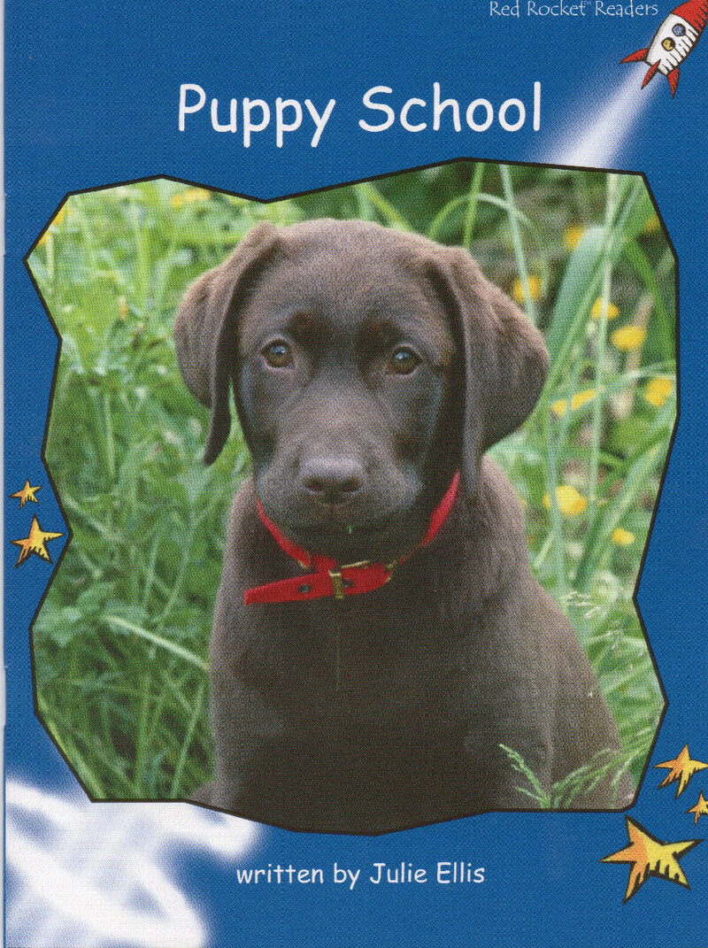 puppy school绘本故事第2页