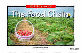 The Food Chain