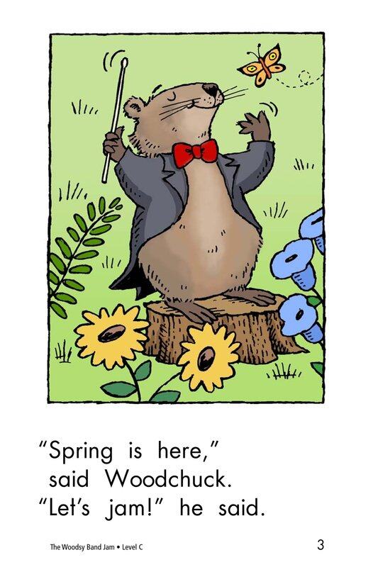 The Woodsy Band Jam绘本故事第3页