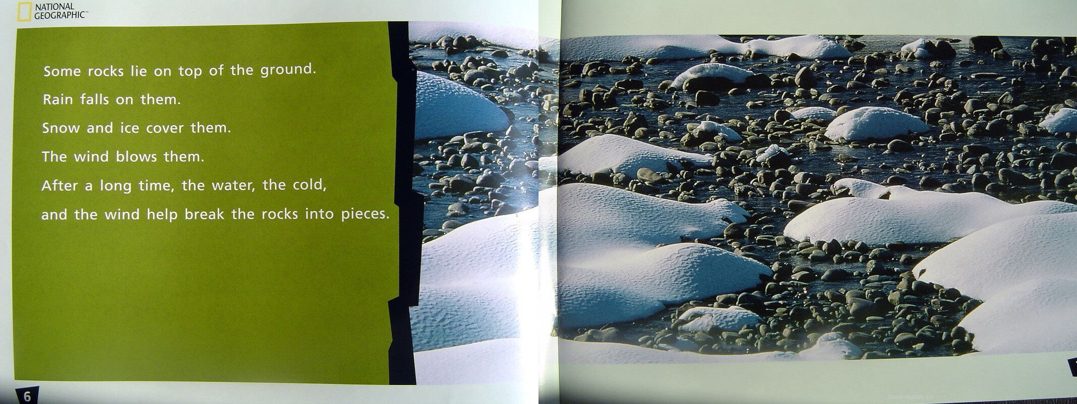 soil绘本故事第5页