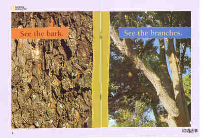 Look at the Tree绘本故事第4页