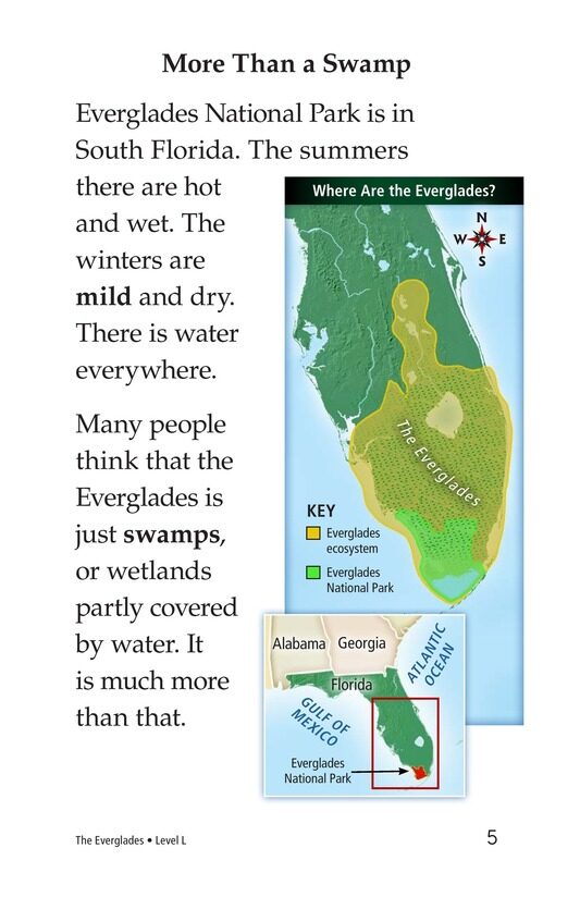 The Everglades绘本故事第4页
