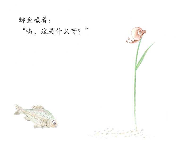 小小的圆点是什么绘本故事第2页