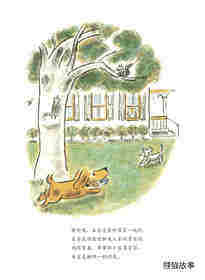 小狗本吉系列--本吉和菲菲绘本故事第3页