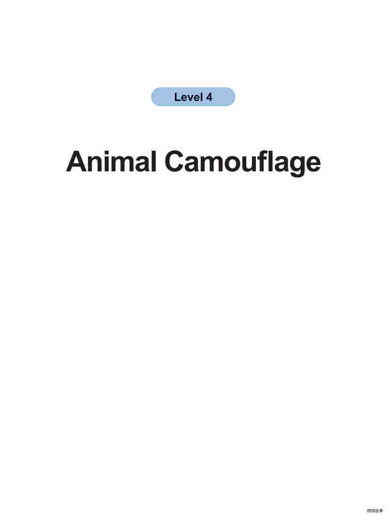 Animal Camouflage