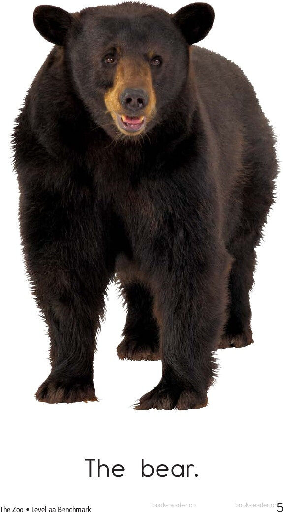 the zoo绘本故事第5页