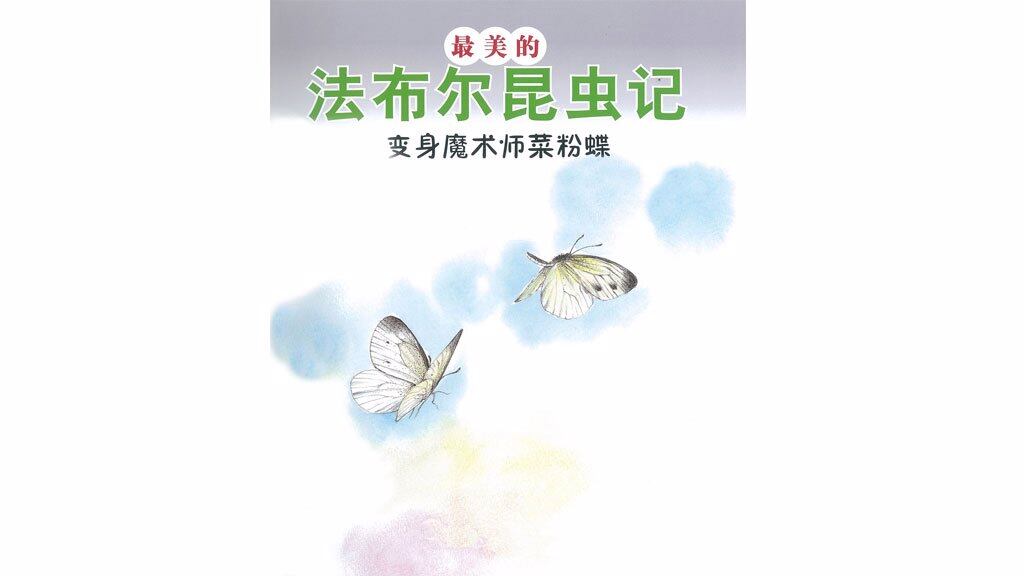 变身魔术师菜粉蝶绘本故事第2页
