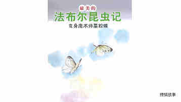 变身魔术师菜粉蝶绘本故事第2页