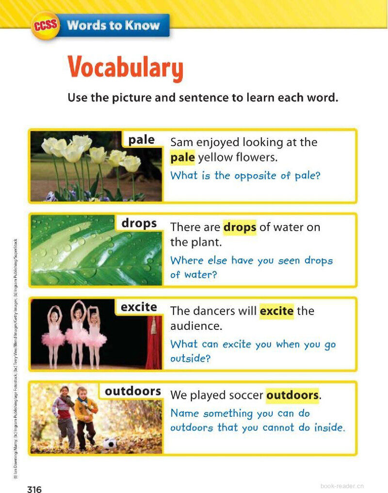 G2 Unit 4 Week 5绘本故事第4页