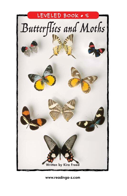 Butterflies and Moths绘本故事第2页