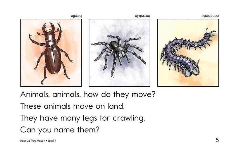 How Do They Move绘本故事第5页