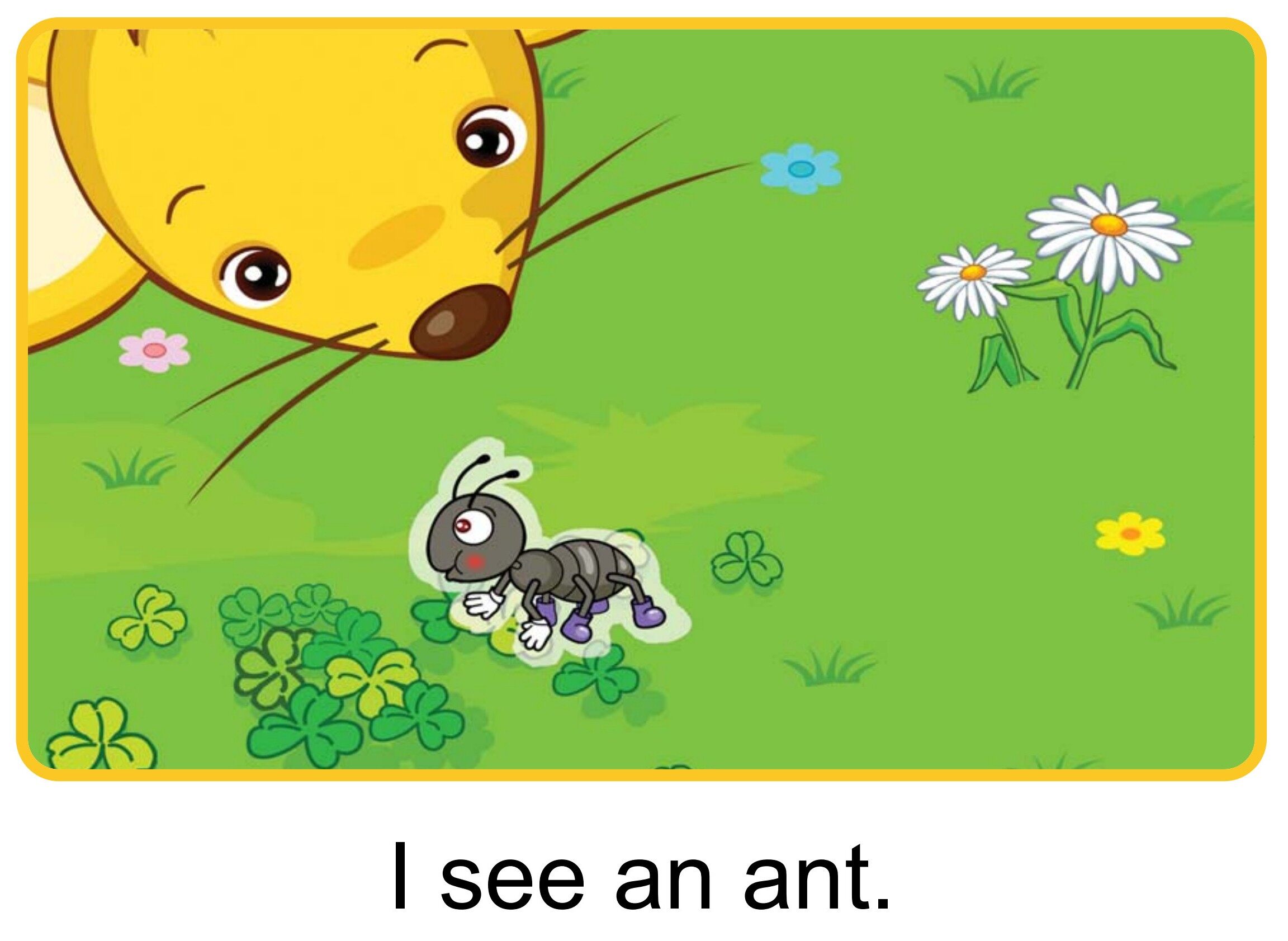 I See绘本故事第4页