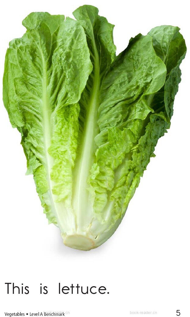Vegetables	绘本故事第5页